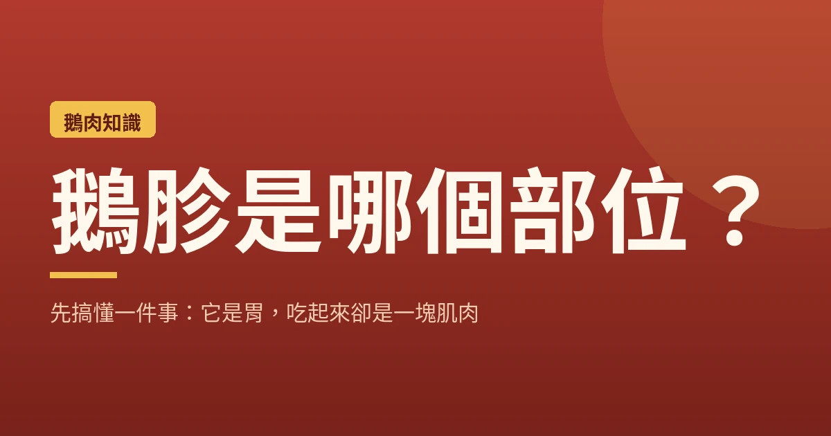 鵝胗是哪個部位？先搞懂一件事：它是胃，吃起來卻是一塊肌肉